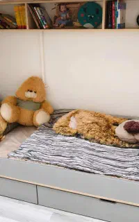 فروش تخت دو طبقه کودک