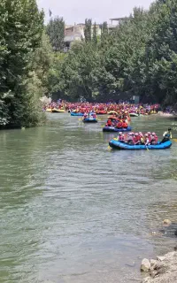 رفتینگ برتر
