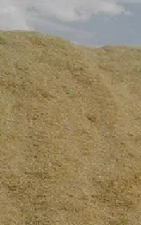 کاه (سامان )