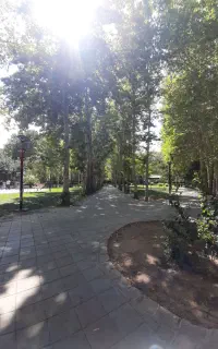 پاییز بدون عکس که نمیشه