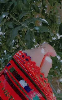 کریشی آیگل