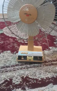 پنکه سالم