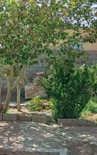 فروش خونه
