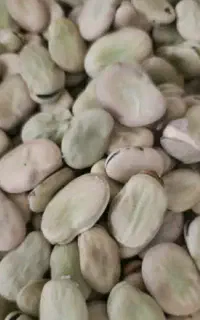 فروش باقالا سه بند محلی بهشهر
