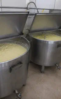 کره گاوی دوغی،روغن زرد،پرداخت درب منزل