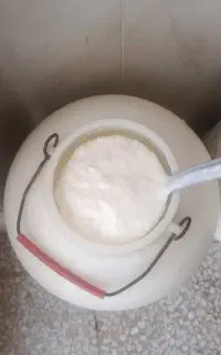 دوغ ترخینه درجه یک غلیظ