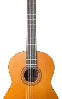 گیتار یاماها c40
