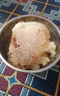 عسل کوهی صد درصد خالص ب شرط