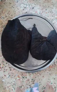 .خیگ