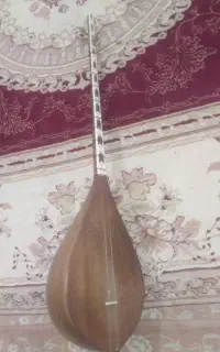 دوتار نوید مقدمی