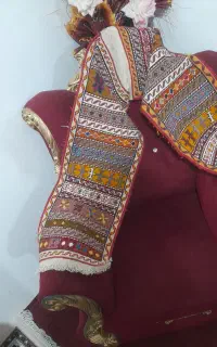 ورنی ۳۰در ۲متر
