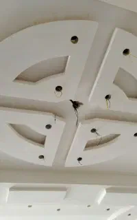 گچکاری و کناف