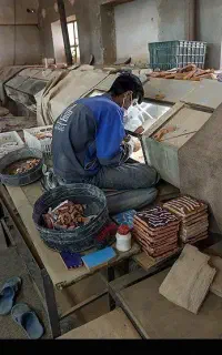 کارگر ساده اتباع