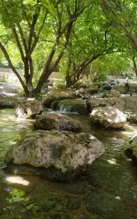 تور یک روزه بانوان 4شهریور