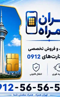 0912-56-56-503