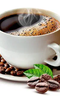 استخدام