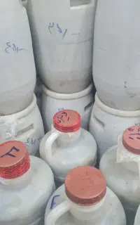 خیارشور