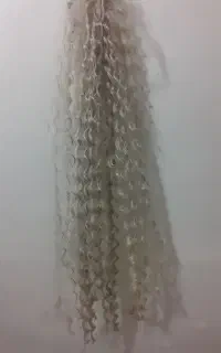 مو افرو