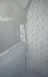 گل بزرگ
