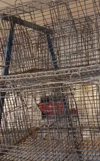 فروش قفس مرغ