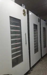 تعمیر و کالیبره دستگاه جوجه کِشی