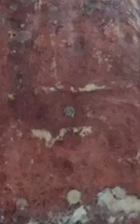 طالع
