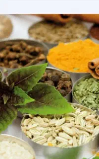 کاربادرمان وکارآفرینی درمنزل آنلاین