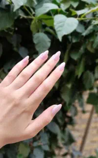 کاشت ناخن پاکسازی شنیون میکاپ مژه