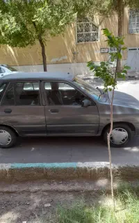 راننده سرویس بانوان