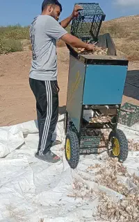 دستگاه سیر حبه کن