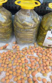 خیار شور درجه ۱