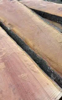 خریدار چوب گردو خشک