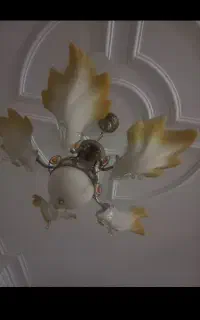 یک جفت لوستر ۵ شاخه