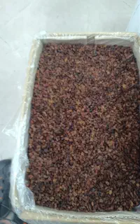 کشمش آفتابی