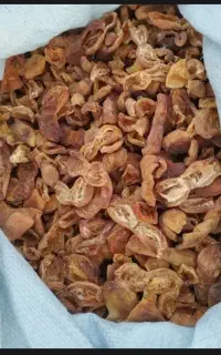 برگه زردآلو آفتابی لواشک لوشی خشک برگ دلمه