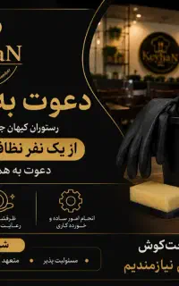 استخدام فقط نیروی خدمات