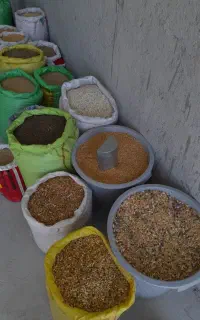 دانه وپرنده فروشی دوراهی زوهکی اسلام اباد