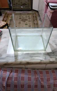 اکواریوم