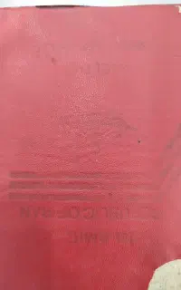پیداشده