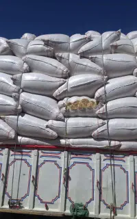 کاه گندم