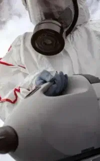 سمپاشی سوسک وساس در کل نقاط شهر مشهد