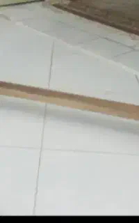 تخته شنا