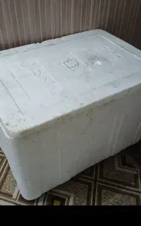 جا یخی ....