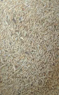 جو کیلو 60