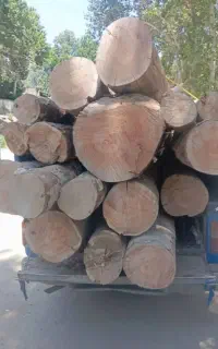 چوب های صنعتی برش خورده ونخورده