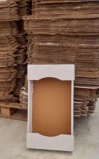 کارتن سازی