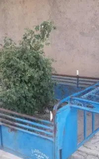 باربند سالم و محکم