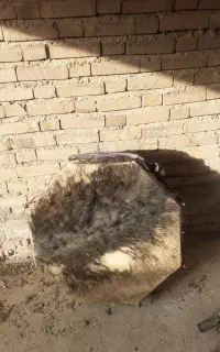 سلام طبل دست دوم به فروش میرسد