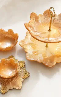 ظروف رزینی