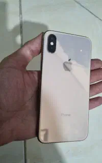 XS 256 Gold
